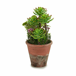 Ibergarden Plante décorative Succulent Plastique 16 x 23 x 16 cm (12 Unités)