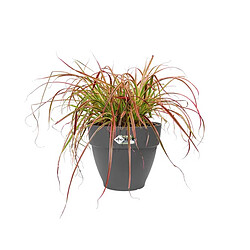 Avis Pot de fleurs rond Vibia Campana - Ø 40 x H.33 cm - Anthracite - Elho