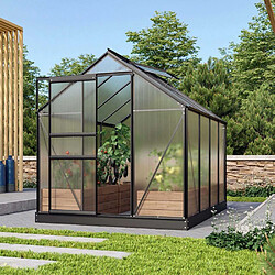 Vitavia Serre de jardin en polycarbonate 4 mm et aluminium noir avec embase Venus Longueur de 257 cm.