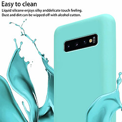 Cadorabo Etui Samsung Galaxy S10 PLUS Coque en Turquoise