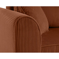 Acheter Bestmobilier Saphir - canapé d'angle réversible 4 places - convertible avec coffre - en velours côtelé