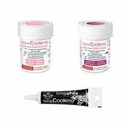 Scrapcooking 2 colorants alimentaires pourpre-rose poudré + Stylo glaçage noir