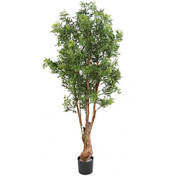 Pegane Plante artificielle haute gamme Spécial extérieur Aralia, coloris vert - Dim : 165 x 80 cm