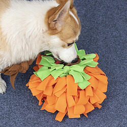 Jouet de corde pour chien, presque indestructible, qui prévient l'ennui et le stress.