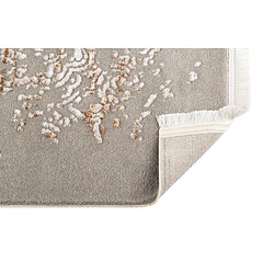 Hadorn Tapis 305x215 gris beige Davos Charme