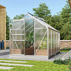 Vitavia Serre de jardin en polycarbonate 4 mm et aluminium anodisé avec embase Venus Longueur de 321 cm.