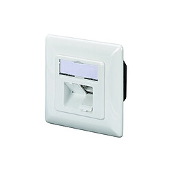 Digitus DN-9007-S-1 prise de courant 2 x RJ-45 Blanc