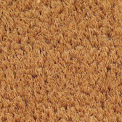 Avis vidaXL Tapis de porte naturel 65x100 cm fibre de coco touffeté