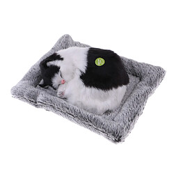 dormir chaton chat peluche en peluche animal de compagnie jouets à sonnettes décor à la maison noir blanc pas cher