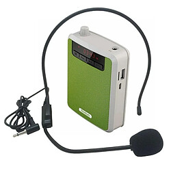 Yonis Microphone Amplificateur Portable FM MP3