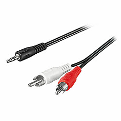 Rallonge audio 2 RCA (10 mètres)