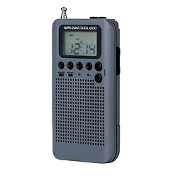 suis fm radio portable gris