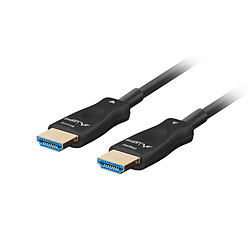 Câble HDMI Lanberg CA-HDMI-30FB-0100-BK Noir 10 m