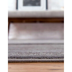 Acheter Hadorn Tapis 305x244 gris Bellevue