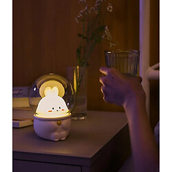 Avis Universal Chat et lapin, charge USB lumineuse, mini-chambre à coucher, réglage de vitesse (lapin)