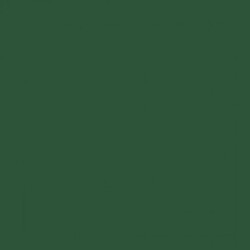 Avis Pebeo Peinture acrylique opaque mate - Vert sapin - 45 ml