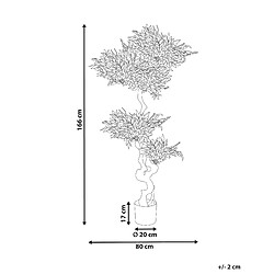 Avis Beliani Plante artificielle RUSCUS TREE 166 cm
