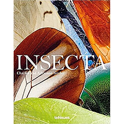 Insecta