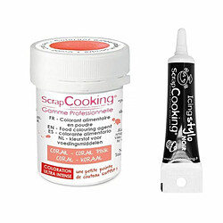 Scrapcooking Colorant alimentaire en poudre corail + Stylo glaçage noir