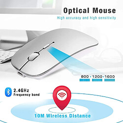 Universal Souris Bluetooth pour ordinateur portable / iPad / iPhone / Mac (iOS13.1.2 et supérieur) / Android PC, souris sans fil Slim rechargeable de souris silencieuses pour Windows / Linux / NoteBoo pas cher