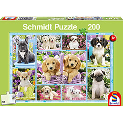 Schmidt Puzzle 200 pièces : Chiots