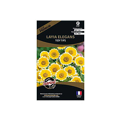 Sanrival Graines de fleurs premium Layia elegans platyglossa