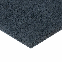 Avis vidaXL Tapis de porte 2 pcs gris foncé 40x60 cm fibre de coco touffeté