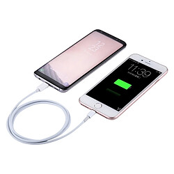 Acheter Wewoo Câble pour iPhone X / 8 et 8 Plus / 7 7 Plus / 6 6s 6 Plus 6 plus 1m USB-C / Type-C à Lightning de chargeur de synchronisation de données,