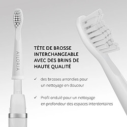 Acheter Ailoria FLASH TRAVEL Brosse à dents de voyage à technologie sonique USB