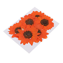 Acheter 6 pièces naturelles vraies fleurs tournesol fleur séchée bricolage artisanat orange