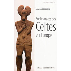 Sur les traces des Celtes en Europe - Occasion