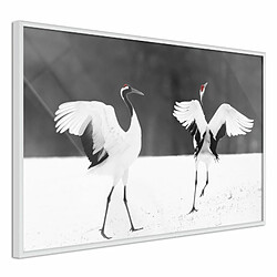 Paris Prix Affiche Murale Encadrée Bird Date 90 x 60 cm Blanc