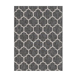 Avril Paris Tapis extérieur - 120x160cm - Anthracite - 100% polypropylène - 192 000pts/m2 - AZUR