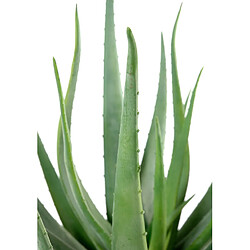 Acheter Pegane Plante artificielle haute gamme Spécial extérieur / Aloevera artificielle - Dim : 55 x 30 cm