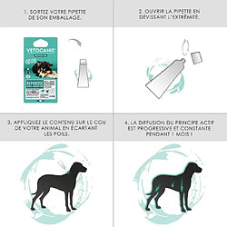 Anti-parasitaire pour chien