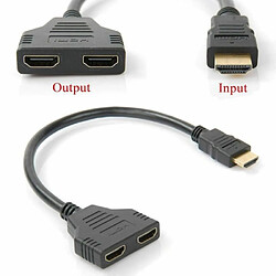 2 X Adaptateur Prise HDMI Mâle vers Double HDMI Femelle Multiprise hdmi switch