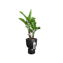 Pot de fleurs rond en plastique extérieur/intérieur Ø 41 cm Elho Pure Coupe noir