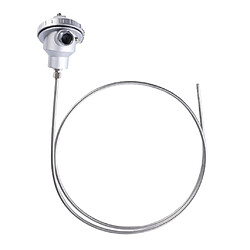 Thermocouple de sonde en acier inoxydable 3x300mm