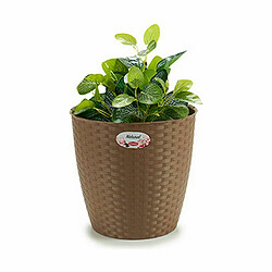 Avis Cache-pot Stefanplast Marron Plastique 29 x 27 x 29 cm (6 Unités)