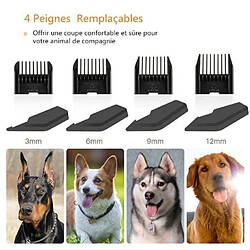 Acheter Tondeuse Chien Professionnelle MARQUEUNE Charge Rapide Tondeuse Chat Persan Silencieuse Tondeuse Animaux avec 4 Peignes Or