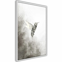 Paris Prix Affiche Murale Encadrée Hummingbird in Shades of Grey 40 x 60 cm Blanc