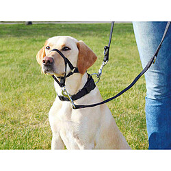 Avis Harnais pour Chien Trixie Noir 22 cm