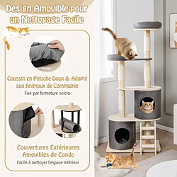 Acheter Helloshop26 Arbre à chat 160 cm avec échelle en sisal et coussin amovible centre d'activités pour chat avec 2 condos confortables gris 20_0001605