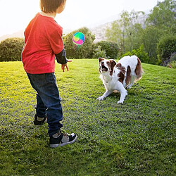 2 boules lumineuses pour chien, avec élastiques, qui brillent dans l'obscurité et qui sont interactives.