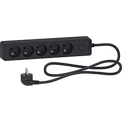 Schneider Electric Bloc multiprises 5 Prises 2P+T (câble 1,5m) Anthracite- Schneider