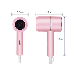 Universal Sèche-cheveux mini-salon professionnel Sèche-cheveux électriques Sèche-cheveux à air chaud/froid Anion 8000 Air Water Ion Sèche outils(Rose)