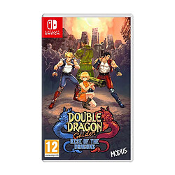 Just For Games Double Dragon Gaiden Rise of the Dragons Nintendo Switch