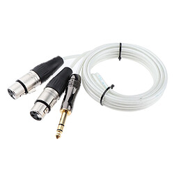 Acheter Remplacement du câble audio 6.35mm mâle vers dual xlr femelle pour haut-parleur 150cm