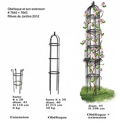 Avis L'Héritier Du Temps Extension pour Obélisque Rêves de Jardins Jardinière Porte Rosier Buis Topiaire en Fer Forgé 40x40x100cm