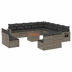 vidaXL Salon de jardin avec coussins 14 pcs gris résine tressée